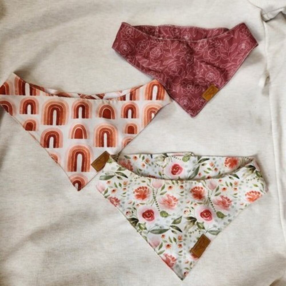Remy + Roo Dog Bandanna, Size M Set of 3 Pink Red Floral Rainbows